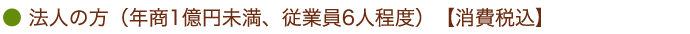 法人の方（年商1億円未満、従業員6人程度）